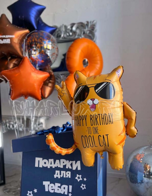 Набор шаров, "Веселый кот"