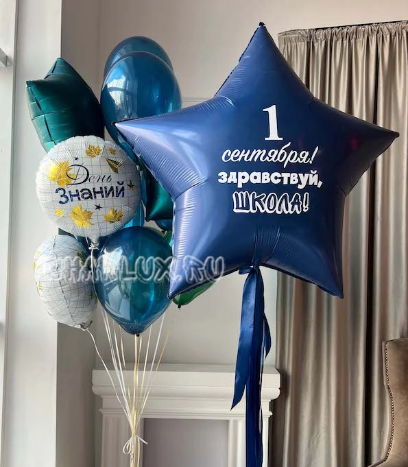 Набор воздушных шаров №28